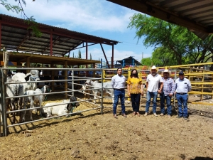 Realizan la 1a edición del Tianguis Agropecuario en Arroyo Seco