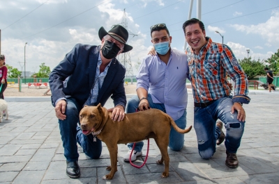 Inaugura Enrique Vega el parque recreativo para perros del fraccionamiento El Mirador