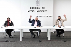 Comisión de Medio Ambiente aprueba Dictamen para ampliar el plazo relativo a prohibición y desincentivación de plásticos