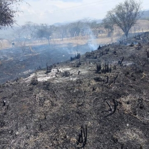 Se incendia más de 1 hectárea de pastizal en Landa