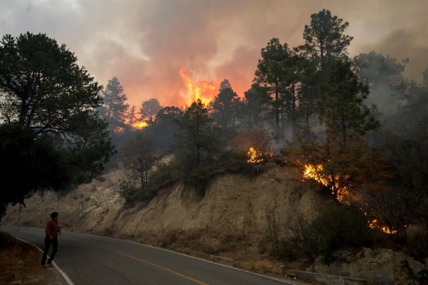 Fuerte incendio consume sierra de Arteaga, Coahuila, en los límites con Nuevo León