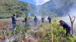 Exterminan incendio en Malpaís