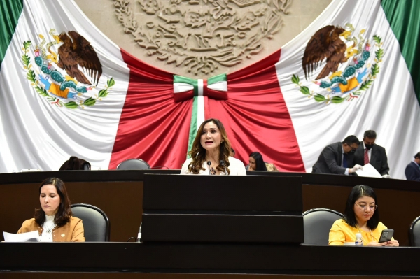 Sonia Rocha ingresa iniciativa por la salud mental de la niñez y adolescencia