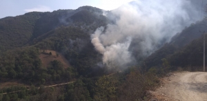 Controlado incendio en La Colgada.