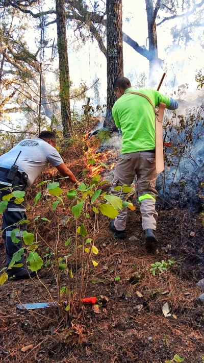 Se registra el primer incendio forestal en Landa