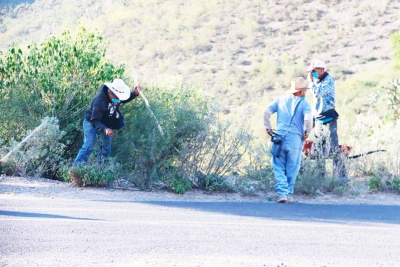 JCLA Pone en Marcha Programa de Empleo Temporal