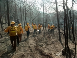 Persiste riesgo de incendios en la sierra: CONAFOR