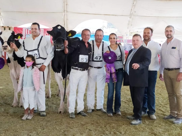 Arrasa La Cotera en la Muestra Internacional Holstein