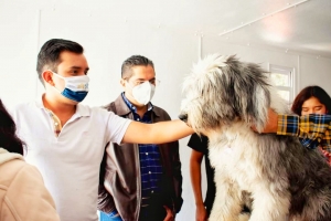 RSP realiza campaña de esterilización de  perros y gatos