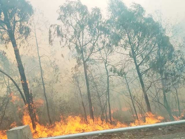 Llegarán dos helibaldes a combatir el incendio