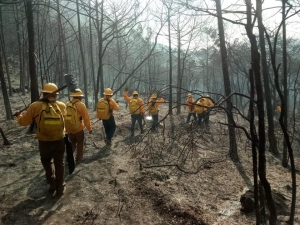 Control sólo en un 65% del incendio en Lagunita de San Diego.