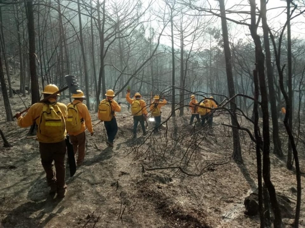 Control sólo en un 65% del incendio en Lagunita de San Diego.