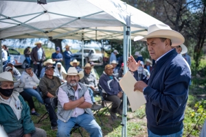 Municipio de El Marqués impulsa la producción de Frijol de riego.