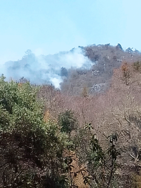 Al momento afecta incendio 30 hectáreas