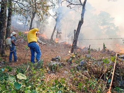 Contenido en un 90% incendio en la Esperanza