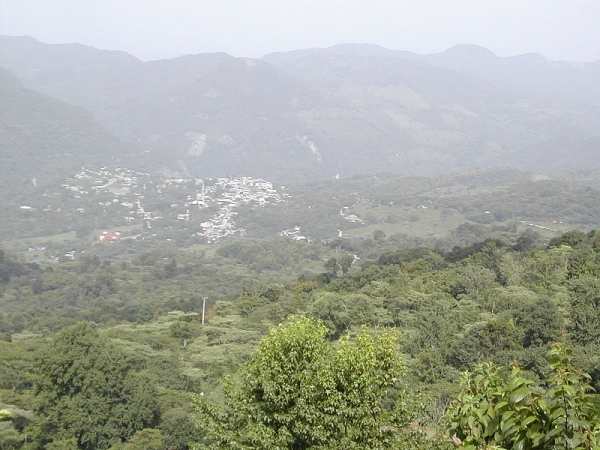 Alcalde de Xilitla da Positivo a COVID-19