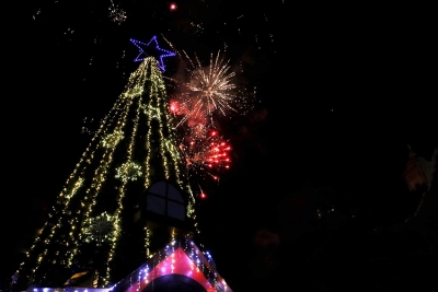 Iluminan árbol navideño