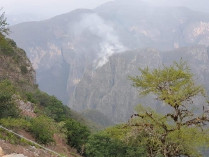 Se mantiene vigilancia constante y cercana del incendio