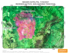 962 Hectáreas Afectadas por Incendio en San Antonio Tancoyol