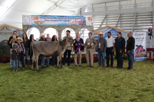 Cristian Jairo Muñoz, el gran triunfador en ganado suizo americano, en la feria ganadera