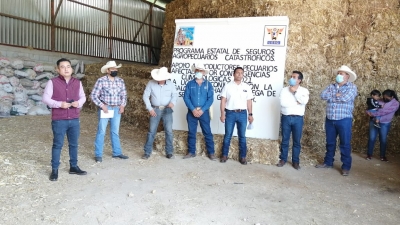 Entregan apoyos del programa estatal de seguros agropecuarios