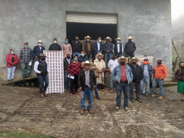 Ganado de Agua Zarca no morirá de hambre por la sequía, los apoya UGRQ