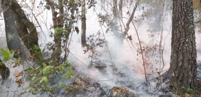 Sofocan incendio en Las Guayabas Pinal de Amoles