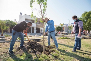 Lanza El Marqués programa de reforestación