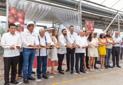 Inaugura Gobernador invernaderos de la empresa GEMSO en Pedro Escobedo