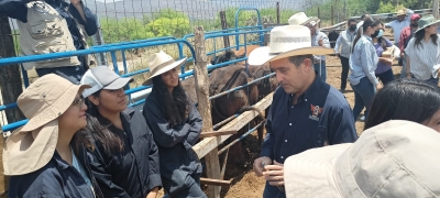 Arranca Campaña de Sanidad y Reproducción para ganado en Tequisquiapan