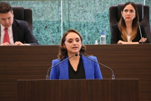 “Noviembre Azul”, busca concientizar la importancia de detección temprana de cáncer de próstata: Diputada Dulce Ventura Rendón