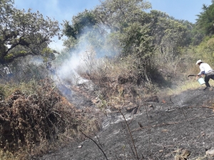 Incendio forestal en Santa Águeda