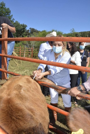 Entrega Lupita Ramírez apoyo a ganaderos del ejido Puerto Colorado