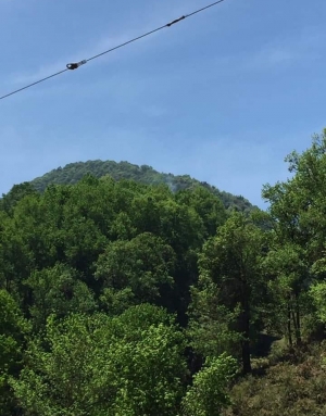 Decenas de Voluntarios Controlan Incendio en Neblinas