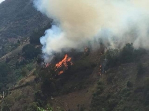 Ya son 100 hectáreas afectadas por el incendio en Pinal