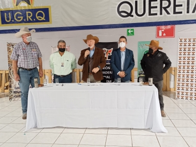 Rompe récord la Exposición Nacional de Caprinos en la Unión Ganadera