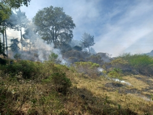 Sofocan incendio en El Rosarito