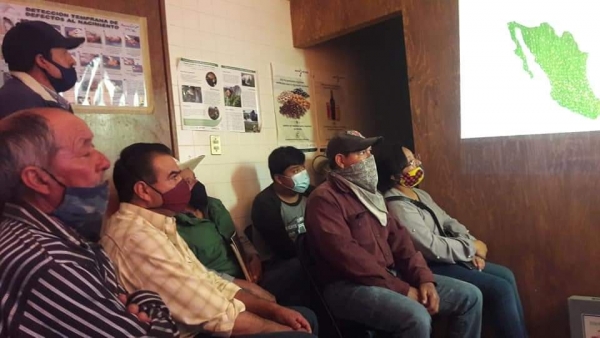 Participantes de cuatro estados de la República, presentes en el curso para técnicos de SINIIGA, organizado por la UGRQ