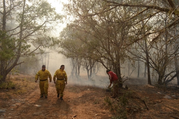 Pide Chely Amador seguir luchando para sofocar incendio