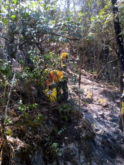 En Lagunita de San Diego atienden un incendio forestal activo en el cerro de San Pablo