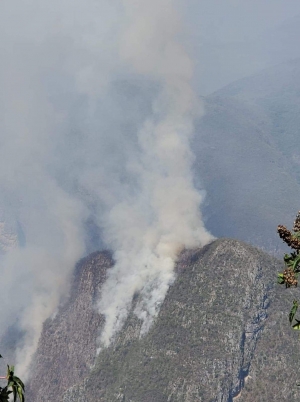 Piden ayuda para sofocar incendio