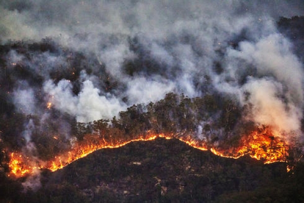 Incesante el fuego en la Sierra Gorda