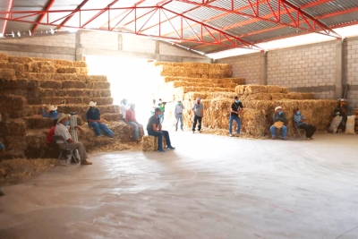 Ganaderos de Peñamiller Reciben Apoyos