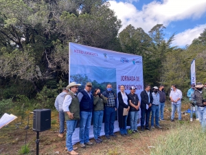 Realizan jornada de reforestación con sotol en Cadereyta