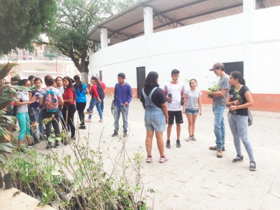 Jóvenes jalpenses Realizan Campaña de Reforestación