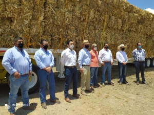 Inicia entrega de pacas a ganaderos para enfrentar la sequía en el estado