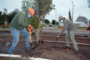 Continúa El Marqués con campañas de reforestación