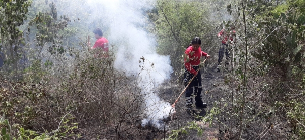 Bomberos Jalpan, PC y SP extinguen fuego en pastizales