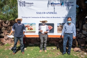 Productores pecuarios de La Laborcilla, El Marqués, libres de brucelosis y tuberculosis