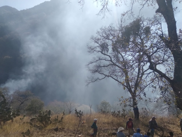 Sofocan 3 incendios en Pinal de Amoles